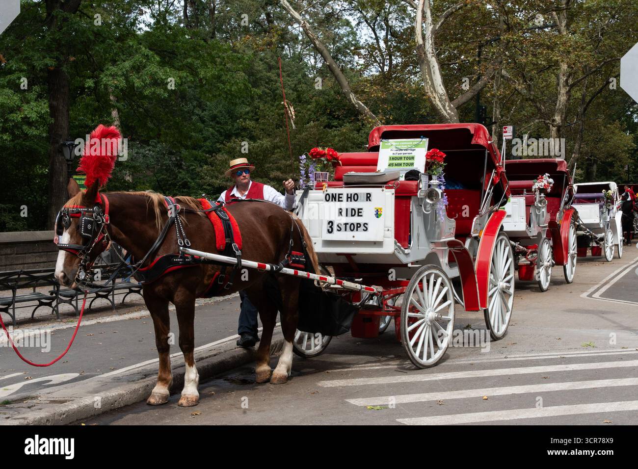 Nyc horse carriage industry hi-res stock photography and images - Alamy