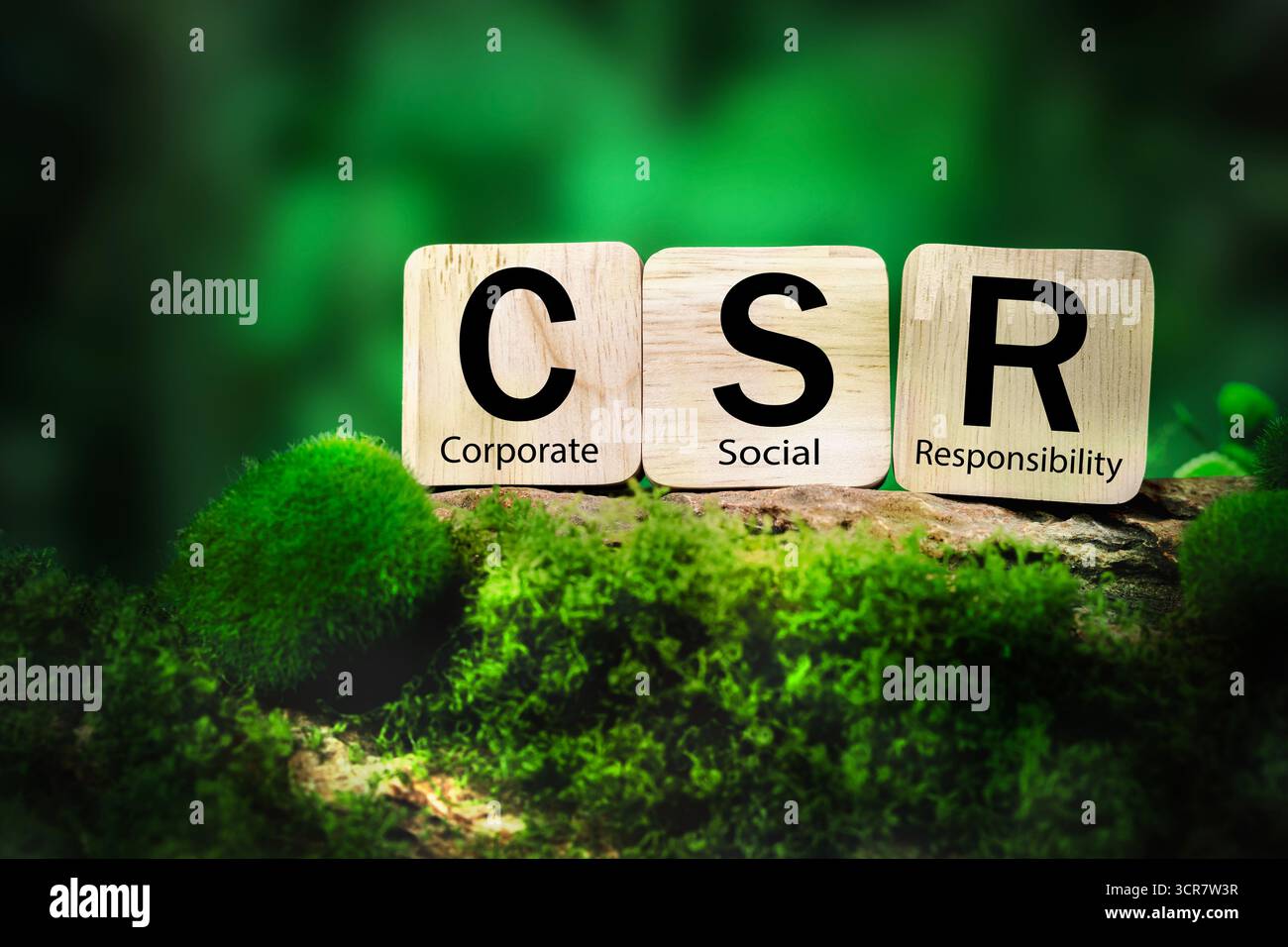 Csr organisation hi-res stock photography and images - Alamy