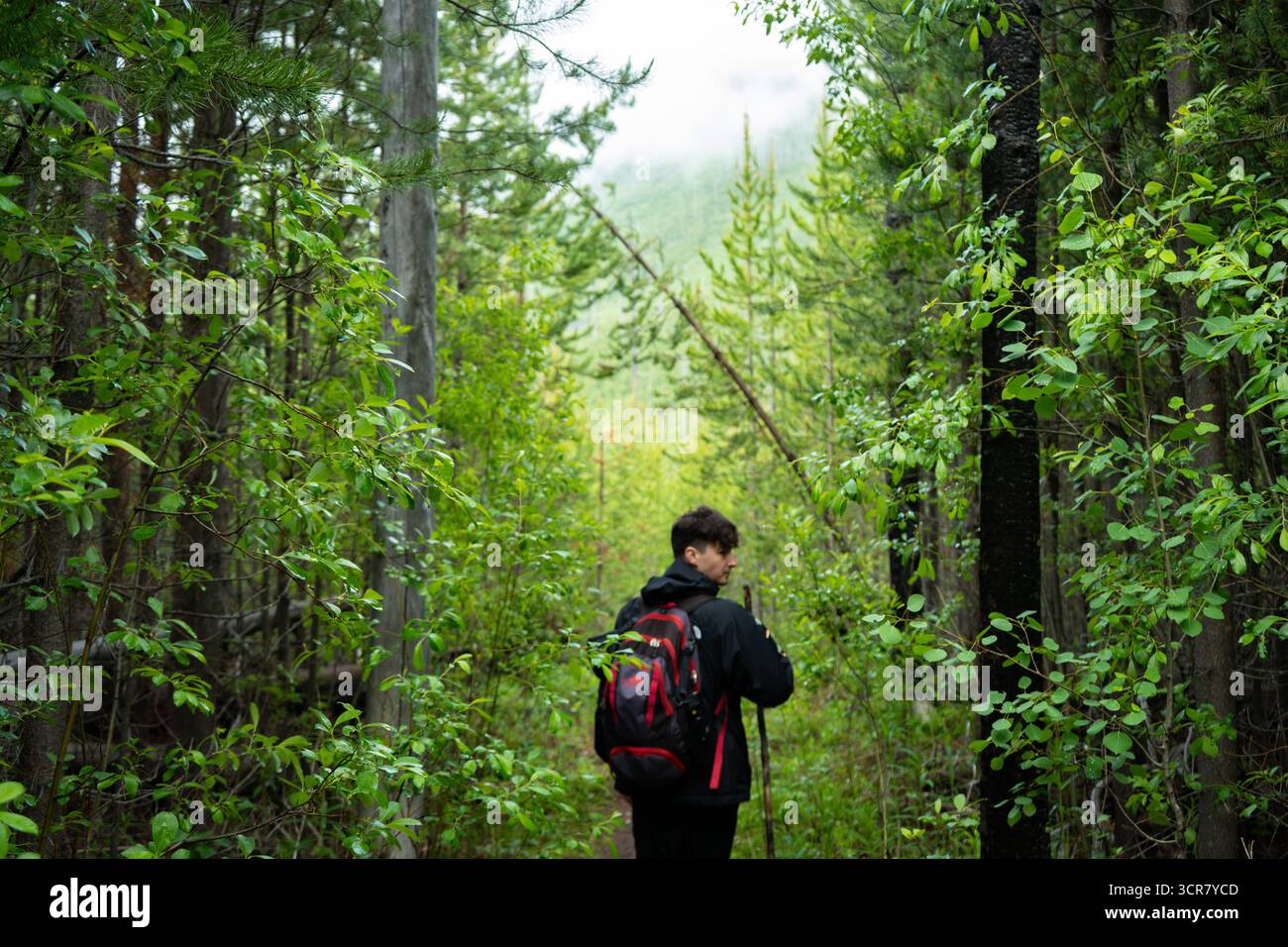 Man walking through dense hi-res stock photography and images - Alamy