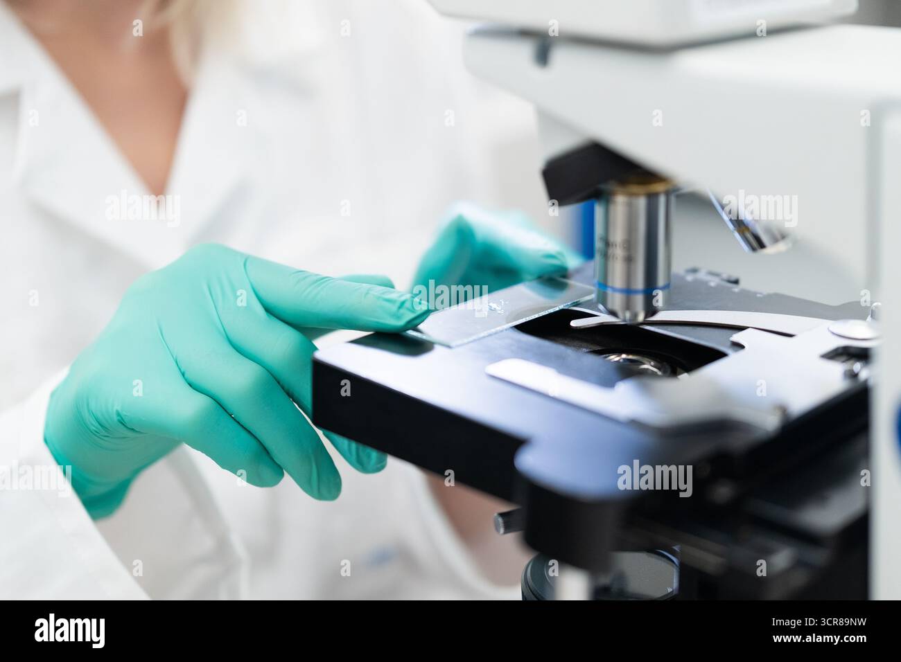 Close up scientist examining samples using optical microscope.  Stock Photo