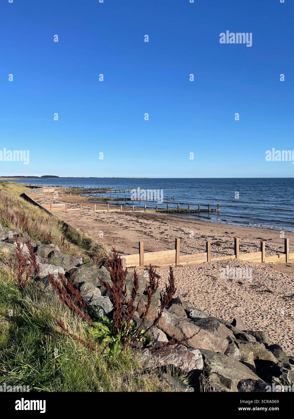 Angus Coastline, beach view horizon - Smartphone Captured Stock Image