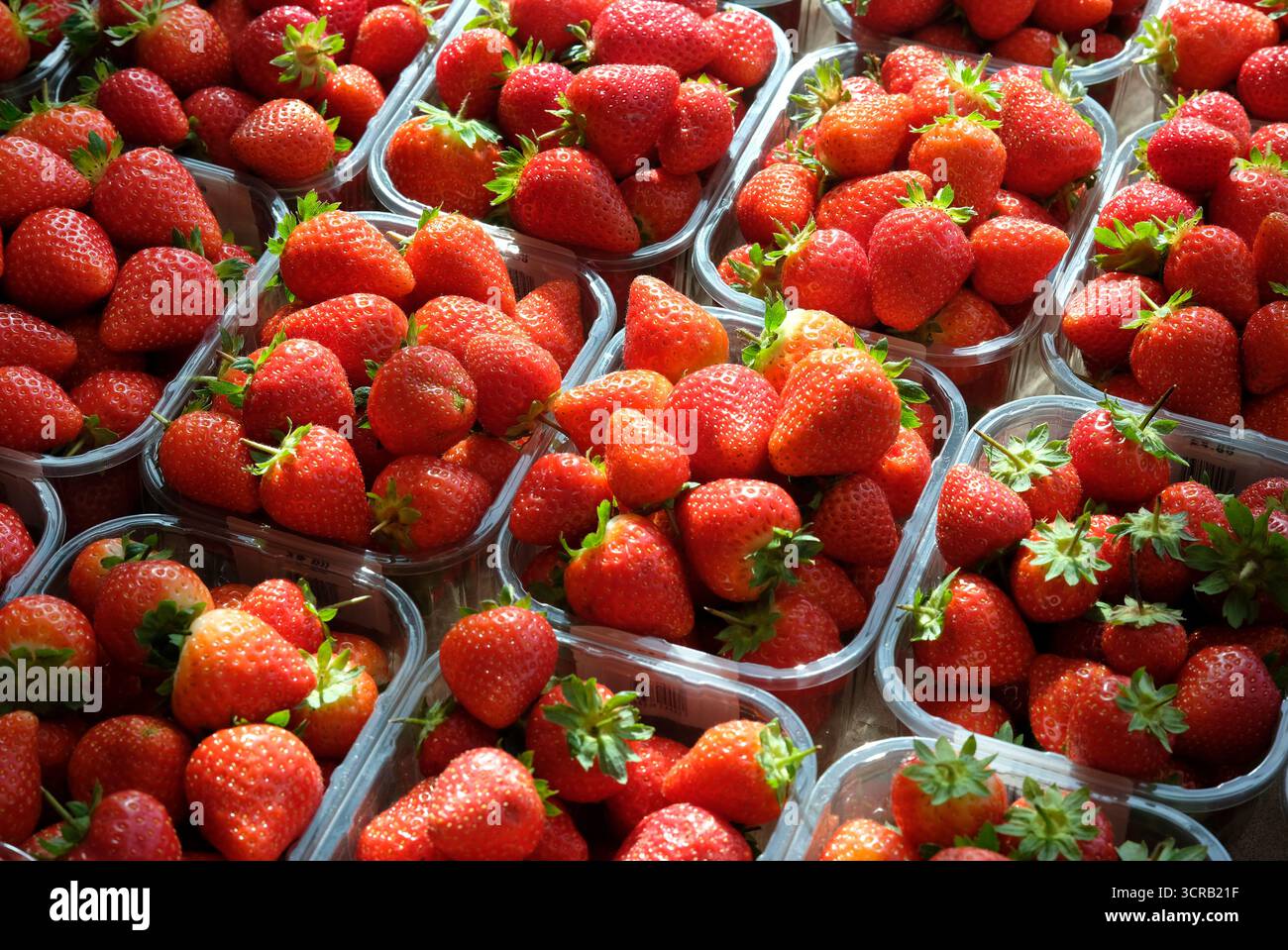 Red containers hi-res stock photography and images - Alamy