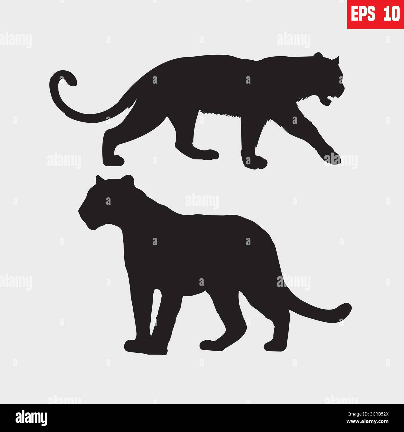 Black panther vector Silhouette on white background Stock Vector
