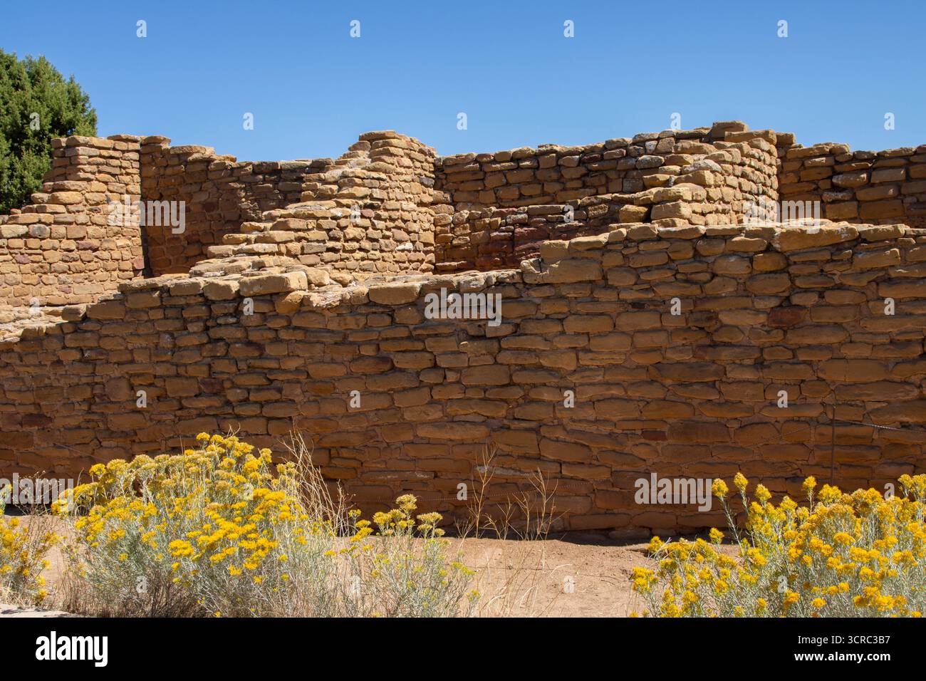 Far View ruins in in Mesa Verde National Park, Colorado Stock Photo - Alamy