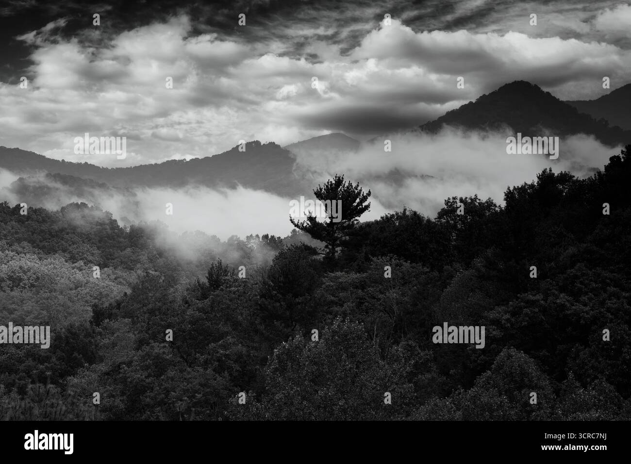 Dramatic black and white tone on the Smoky Mountain range in North Carolina Stock Photo