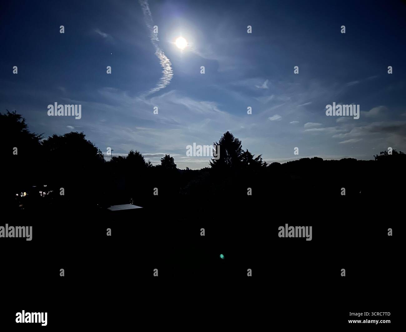 Full moon scene with silhouetted trees - Smartphone Captured Stock Image