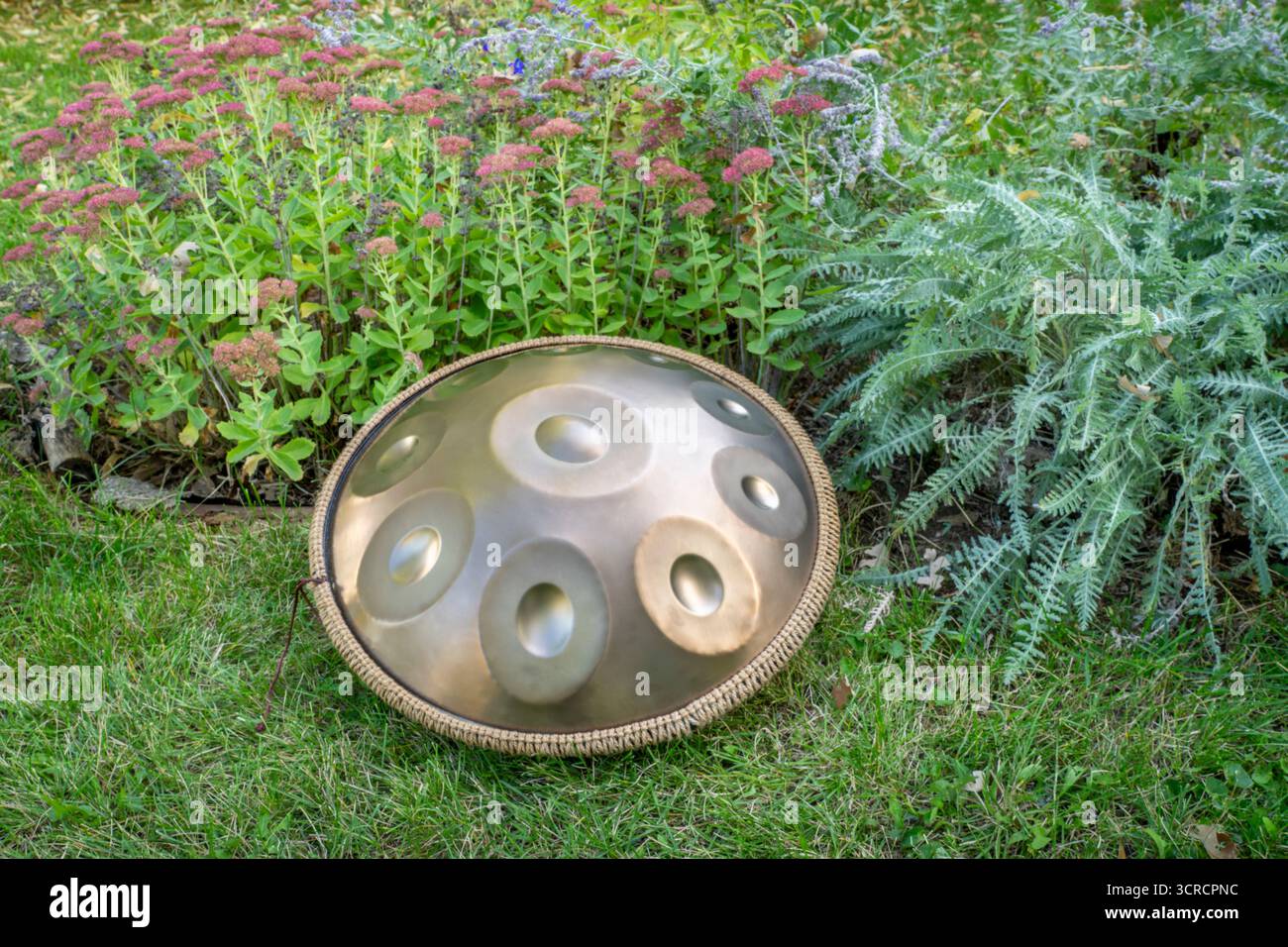 handpan drum outdoors in a backyard, a modern, melodic percussion instrument made of steel, known for its soothing, resonant tones Stock Photo