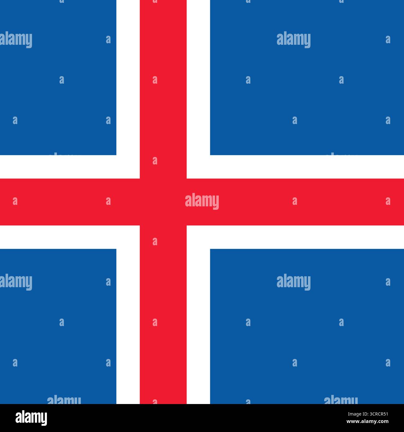 Flag of Iceland - square variant Stock Vector