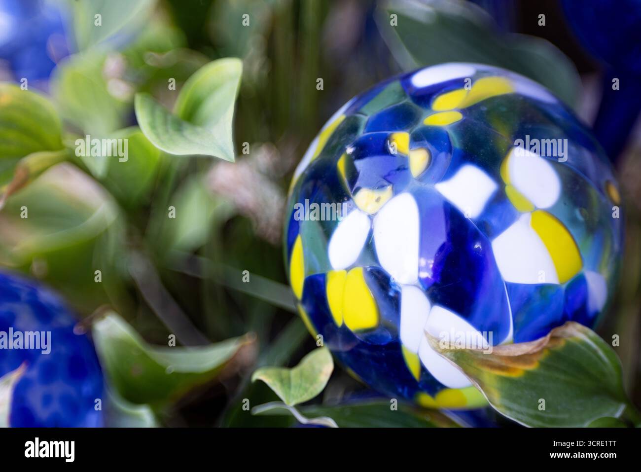 A blue, yellow, and white hand blown glass bulb nestled in a hosta plant in a garden. Stock Photo
