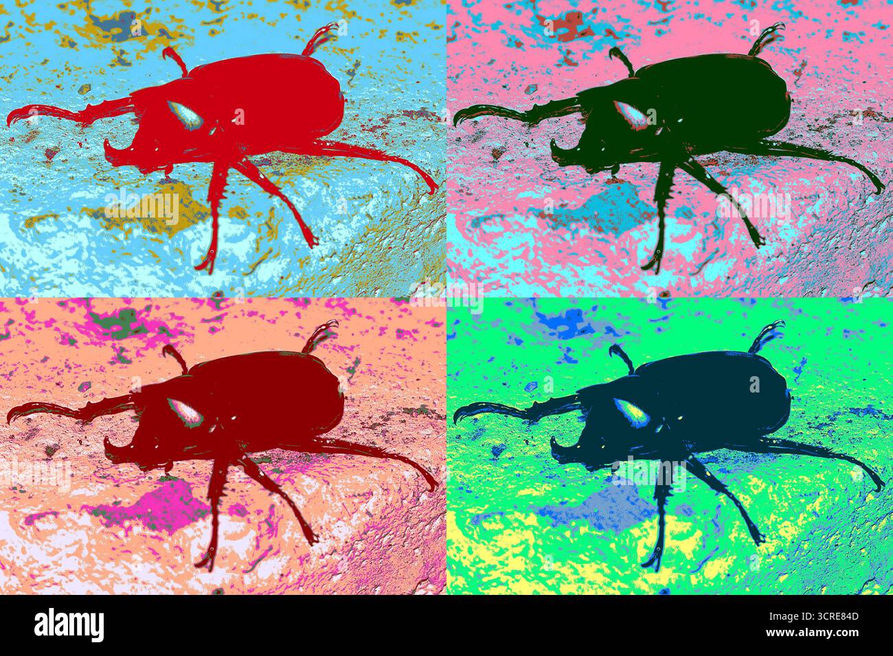 Symmetrical bug hi-res stock photography and images - Alamy