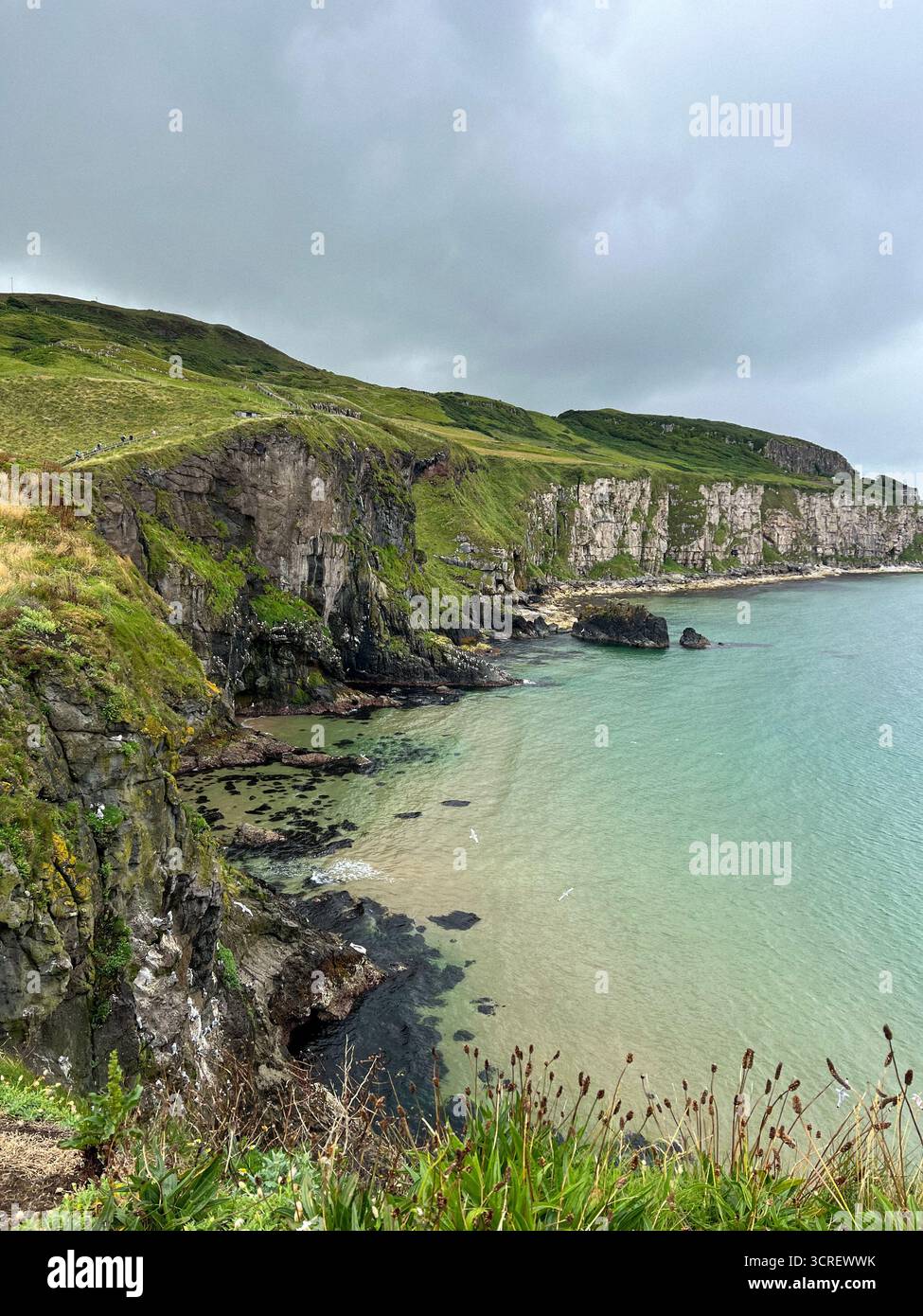 Majestic Irish cliffs rising above the turquoise Atlantic waters near Carrick-a-Rede in County Antrim, Northern Ireland, under an overcast sky. - Smartphone Captured Stock Image