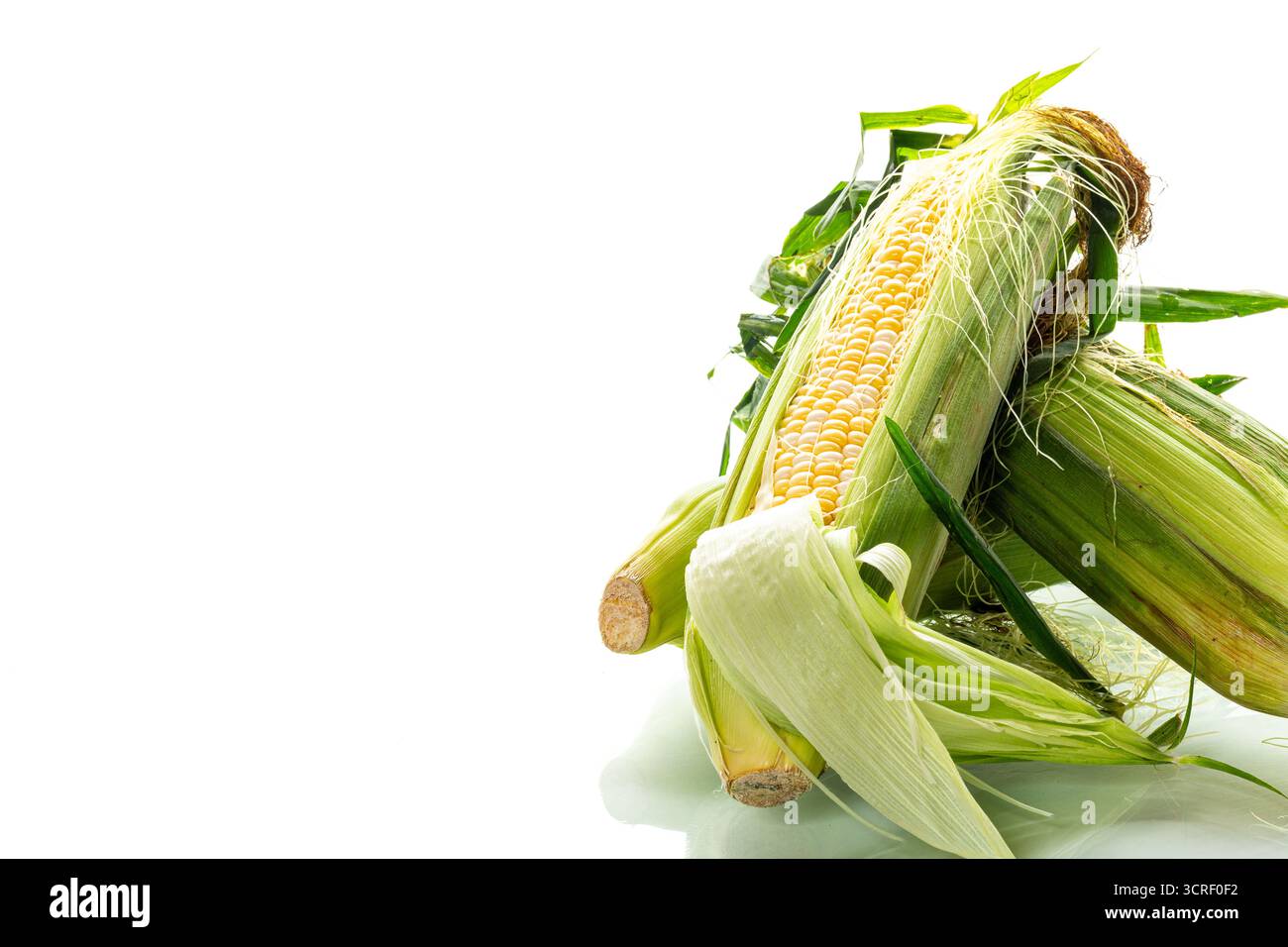 Natural organic form hi-res stock photography and images - Alamy