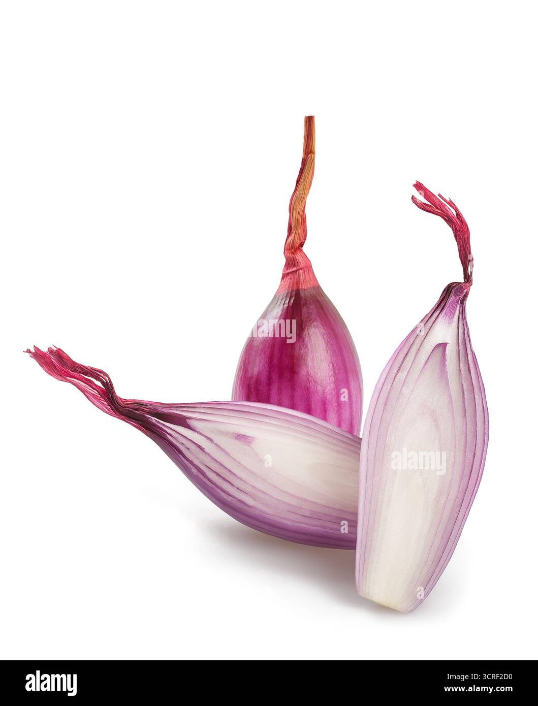 Red onions   isolated on white background Stock Photo