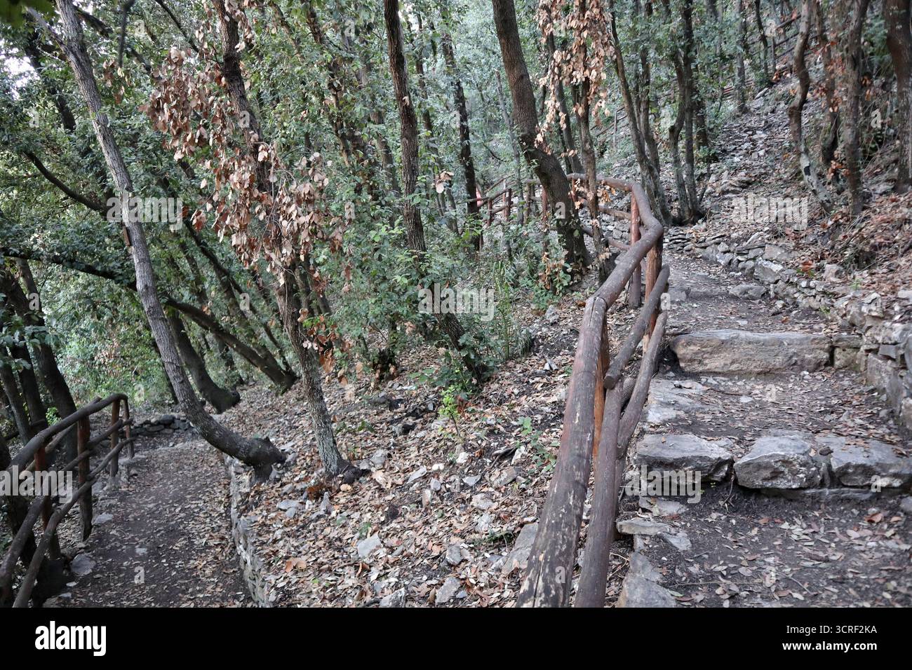Sentiero boschivo hi-res stock photography and images - Alamy
