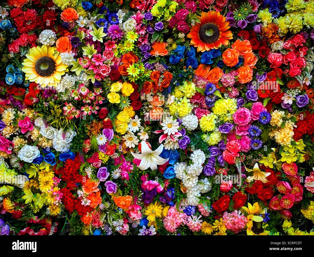 Flowers decorate a wall in the natal house of Saint Anthony of Lisboa os San Antonio de Padua, in Lisboa, Portugal. - Smartphone Captured Stock Image