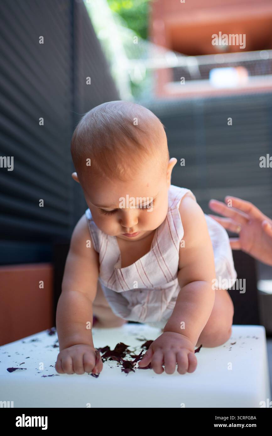 Baby girl exploring red cabbage on light table, engaging in sensory play Stock Photo