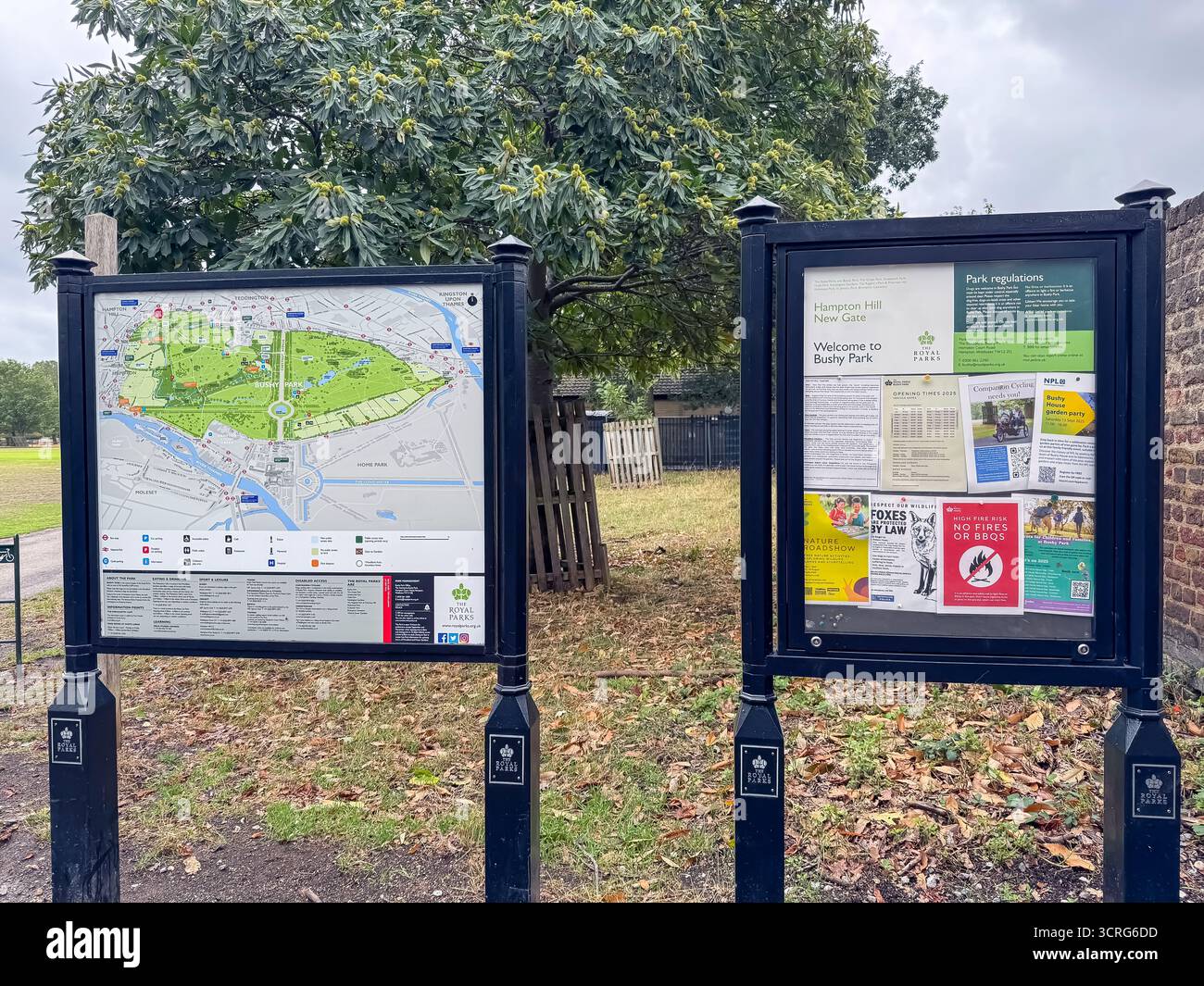 Bushy Park, London - Smartphone Captured Stock Image