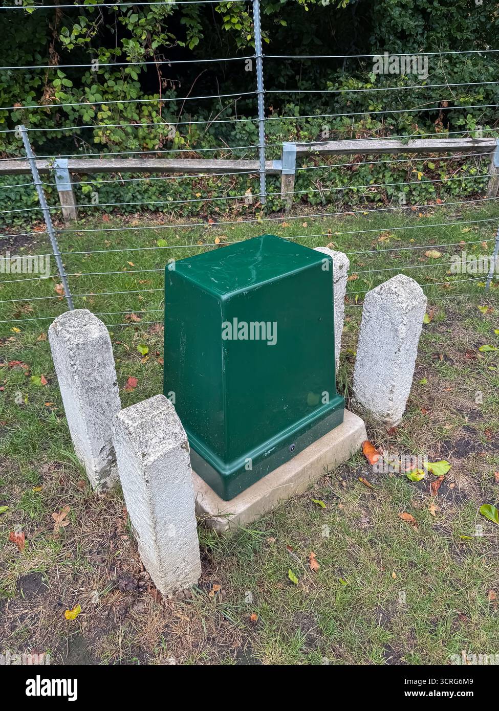 Bushy Park, London - Smartphone Captured Stock Image