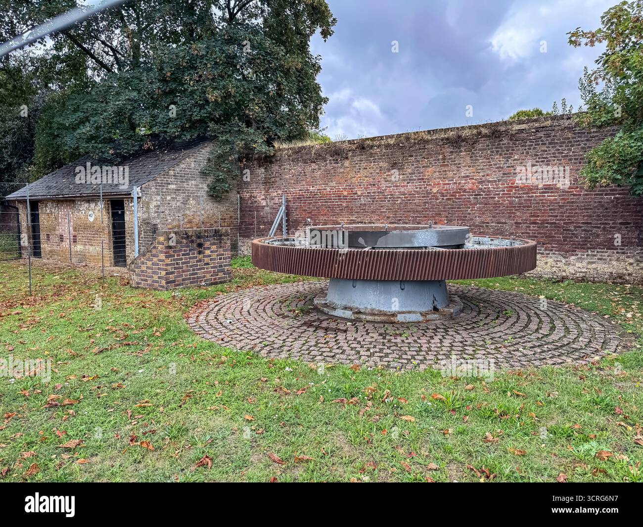 Bushy Park, London - Smartphone Captured Stock Image
