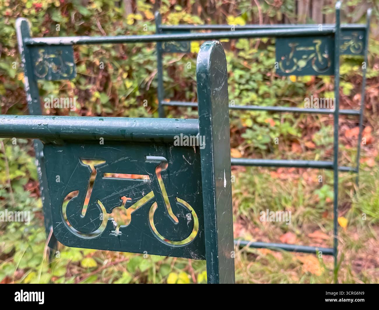 Bushy Park, London - Smartphone Captured Stock Image