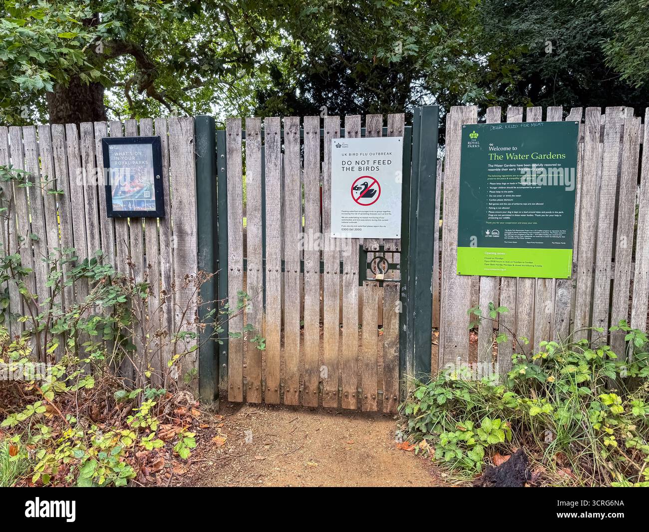 Water Gardens - Bushy Park, London - Smartphone Captured Stock Image