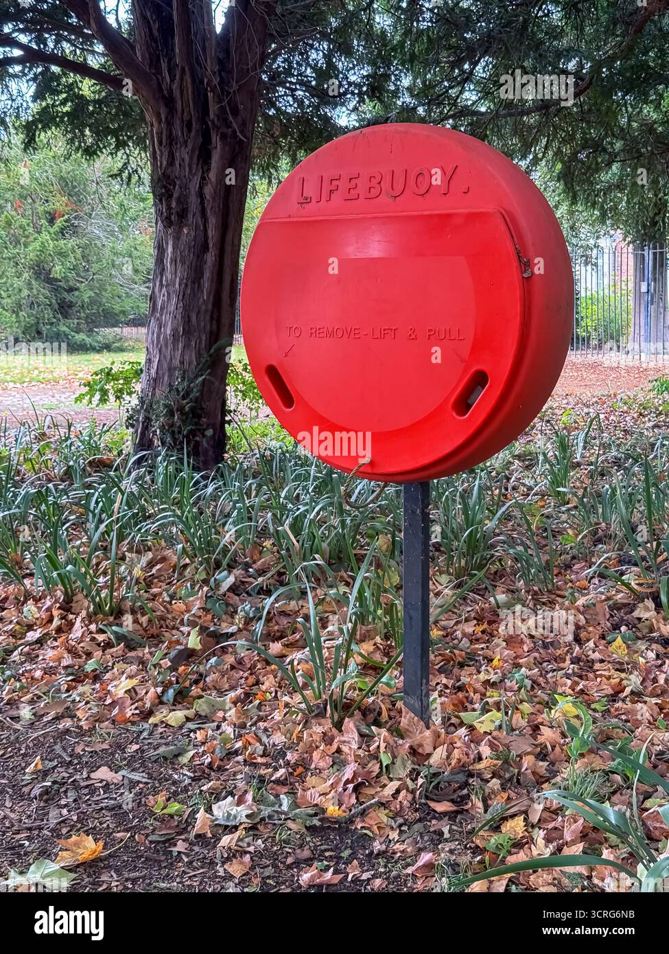 Bushy Park, London - Smartphone Captured Stock Image