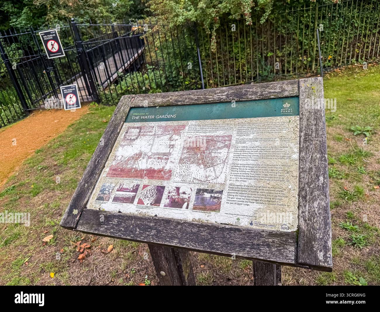 Bushy Park, London - Smartphone Captured Stock Image
