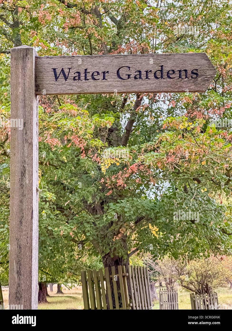 Water Gardens - Bushy Park, London - Smartphone Captured Stock Image