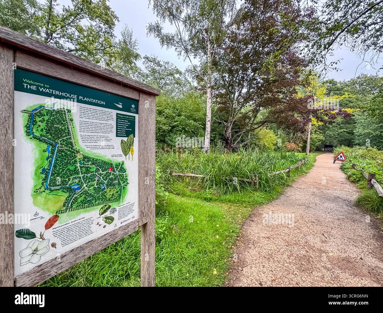 Bushy Park, London - Smartphone Captured Stock Image
