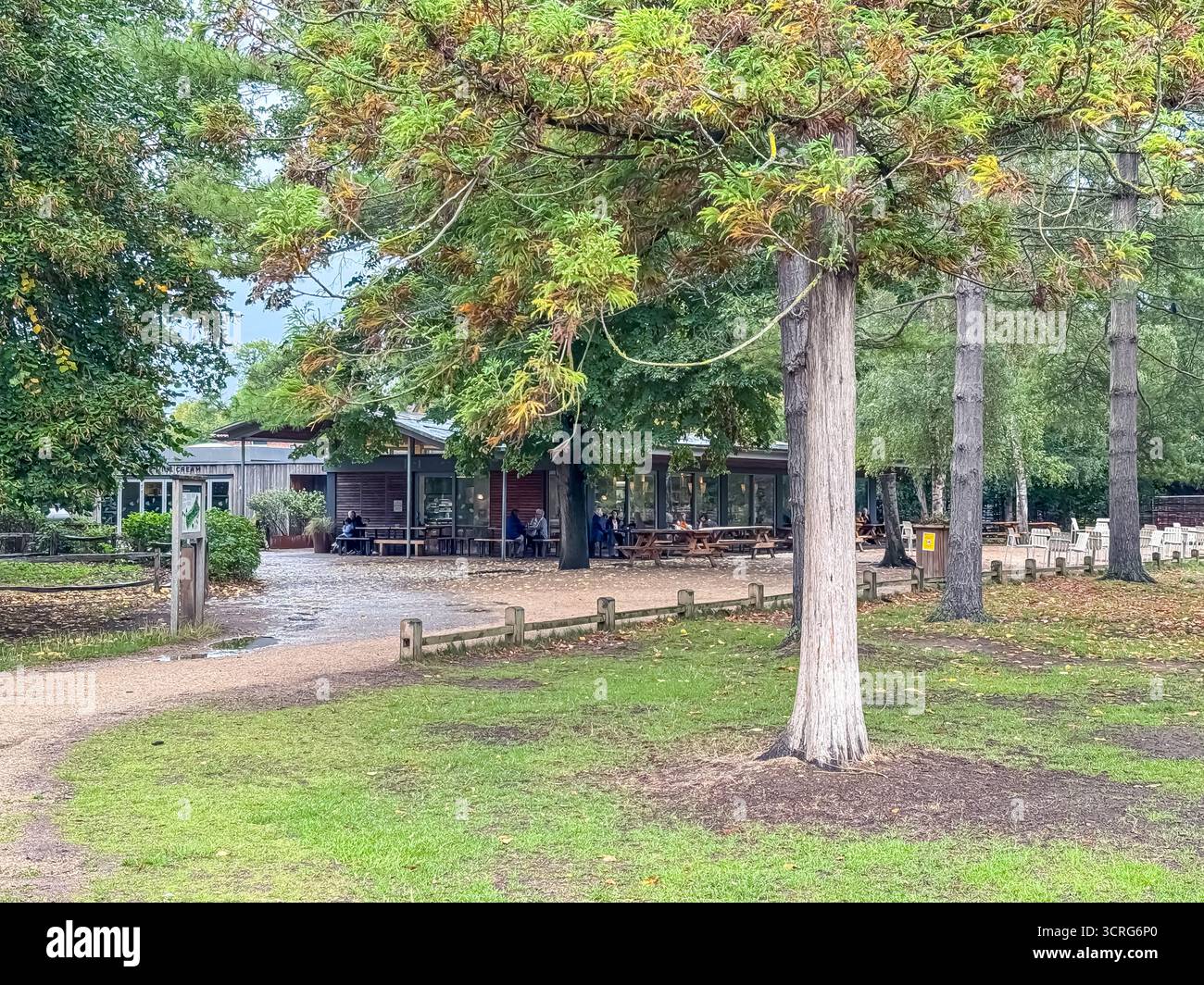 Bushy Park, London - Smartphone Captured Stock Image