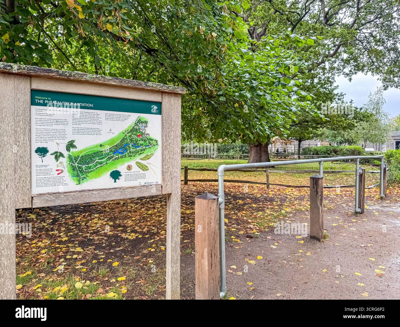 Bushy Park, London - Smartphone Captured Stock Image