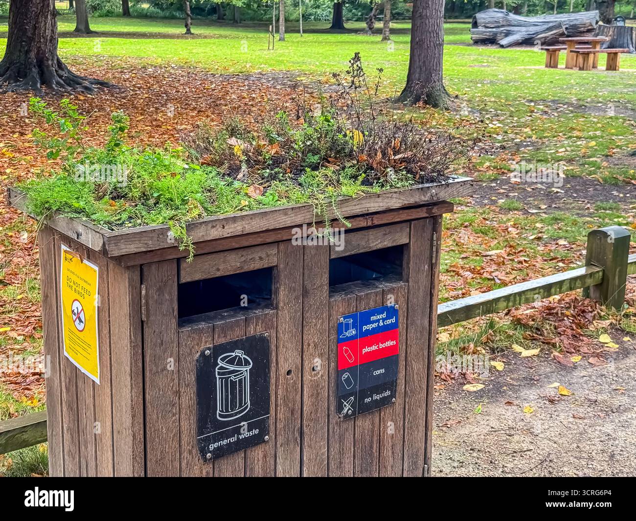 Bushy Park, London - Smartphone Captured Stock Image