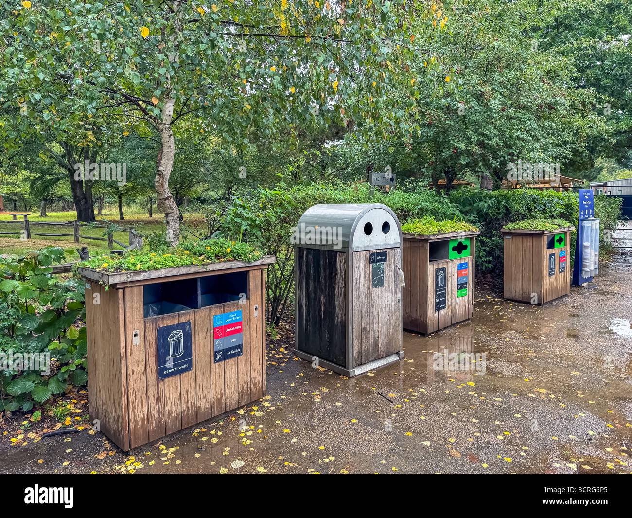 Bushy Park, London - Smartphone Captured Stock Image