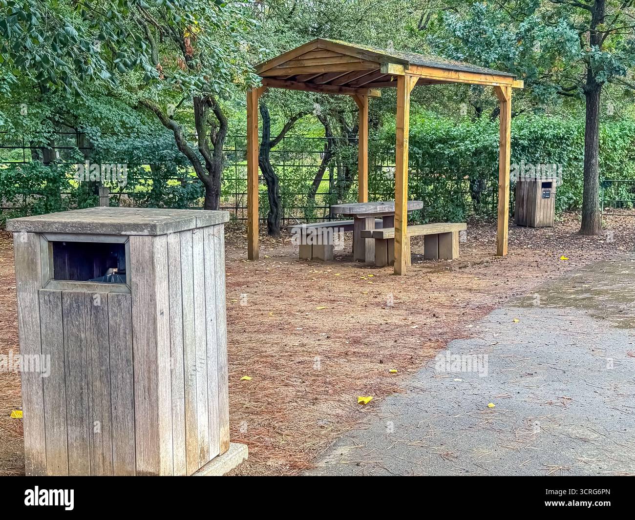 Bushy Park, London - Smartphone Captured Stock Image