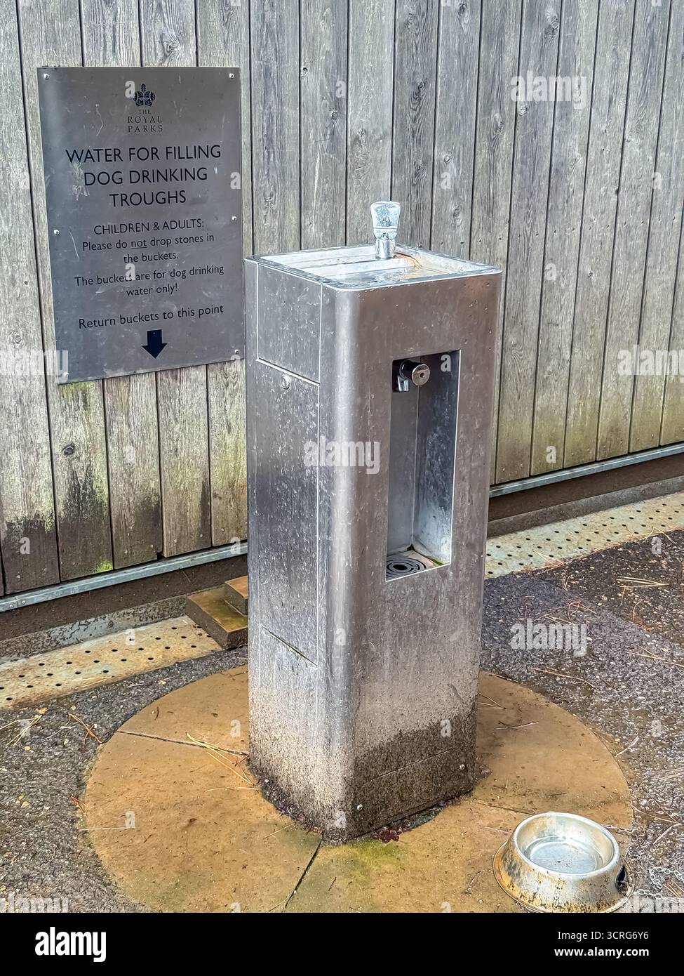 Bushy Park, London - Smartphone Captured Stock Image