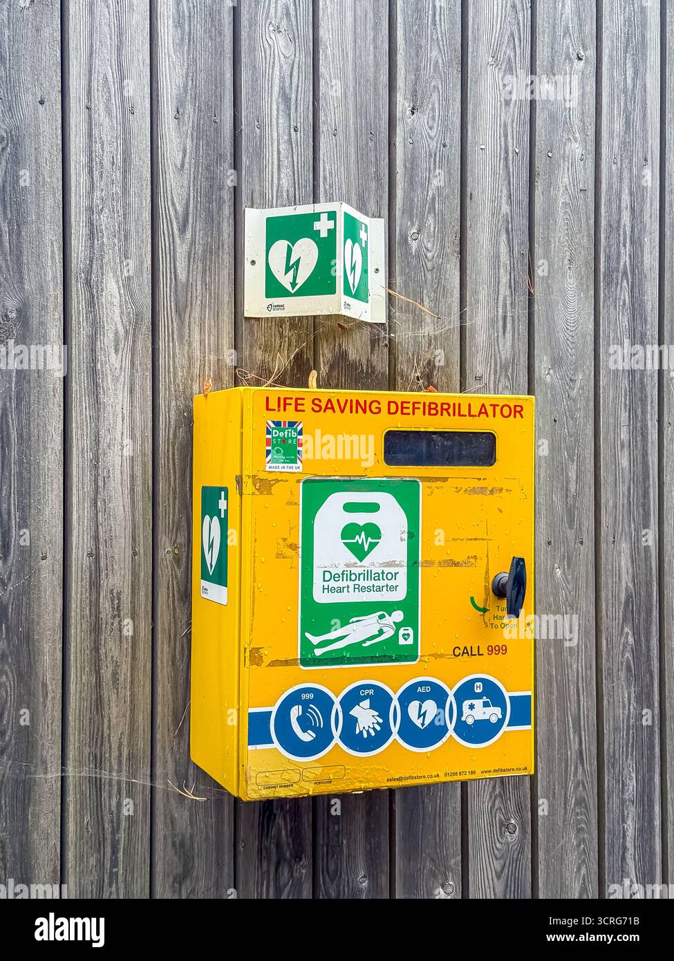 Bushy Park, London - Smartphone Captured Stock Image