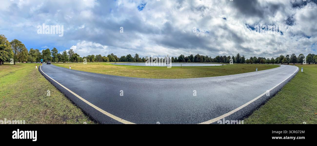 Bushy Park, London - Smartphone Captured Stock Image