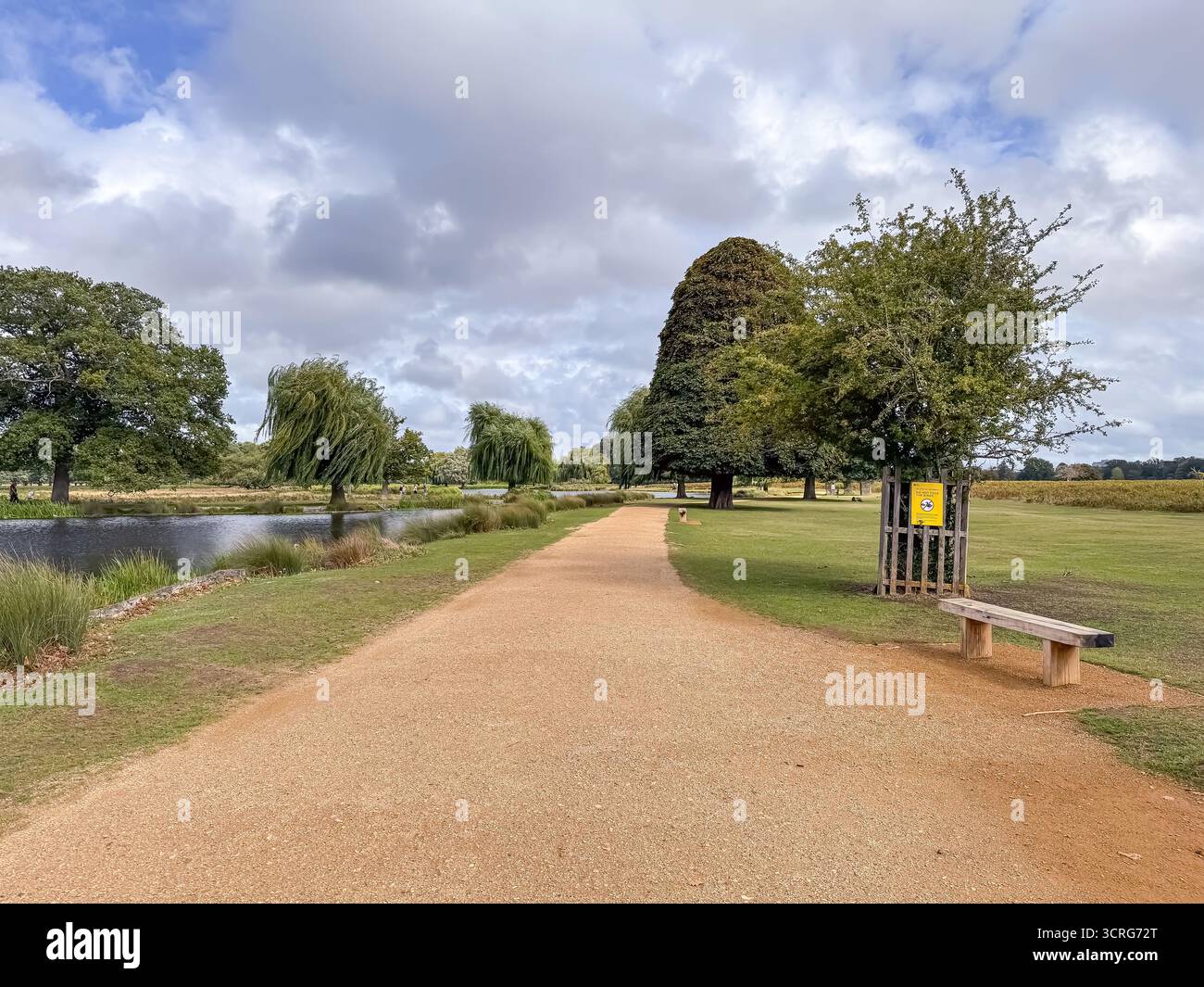 Bushy Park, London - Smartphone Captured Stock Image
