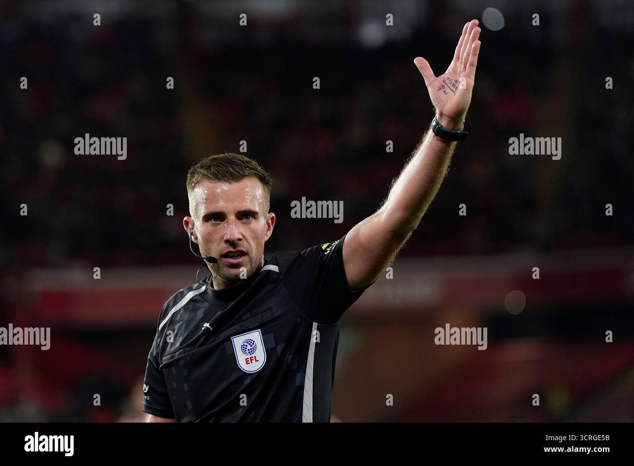 Adam Herczeg Hi res Stock Photography And Images Alamy adam-herczeg-hi-res-stock-photography-and-images-alamy