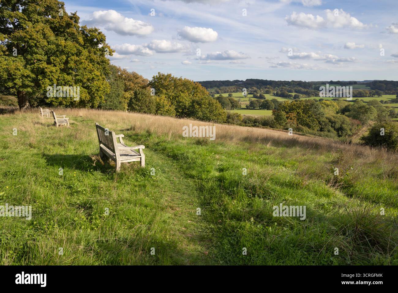 View over the High Weald countryside with wooden benches, Burwash, East Sussex, England, United Kingdom, Europe Stock Photo
