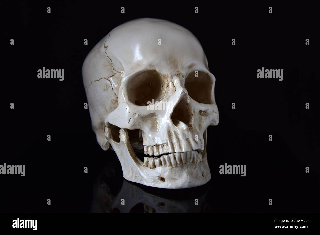 Human skull with reflection on black background Stock Photo