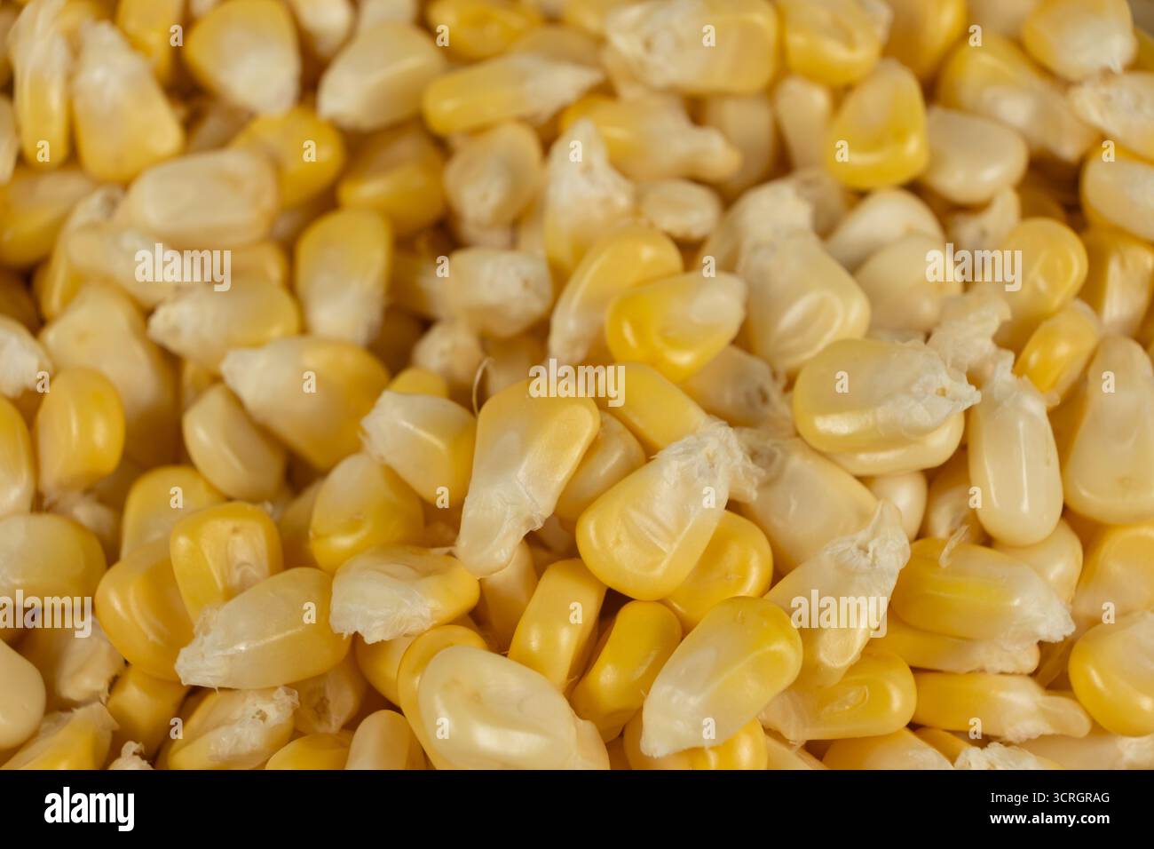 Close-Up Of Fresh Corn Kernels Texture From Above Stock Photo