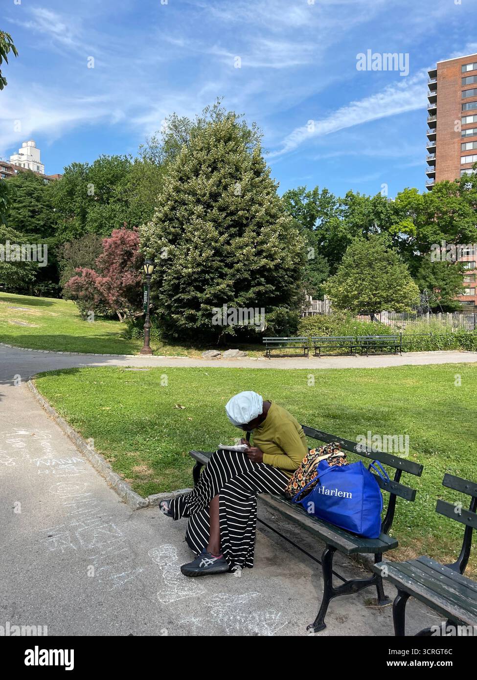 Women studying in Central Park - Smartphone Captured Stock Image