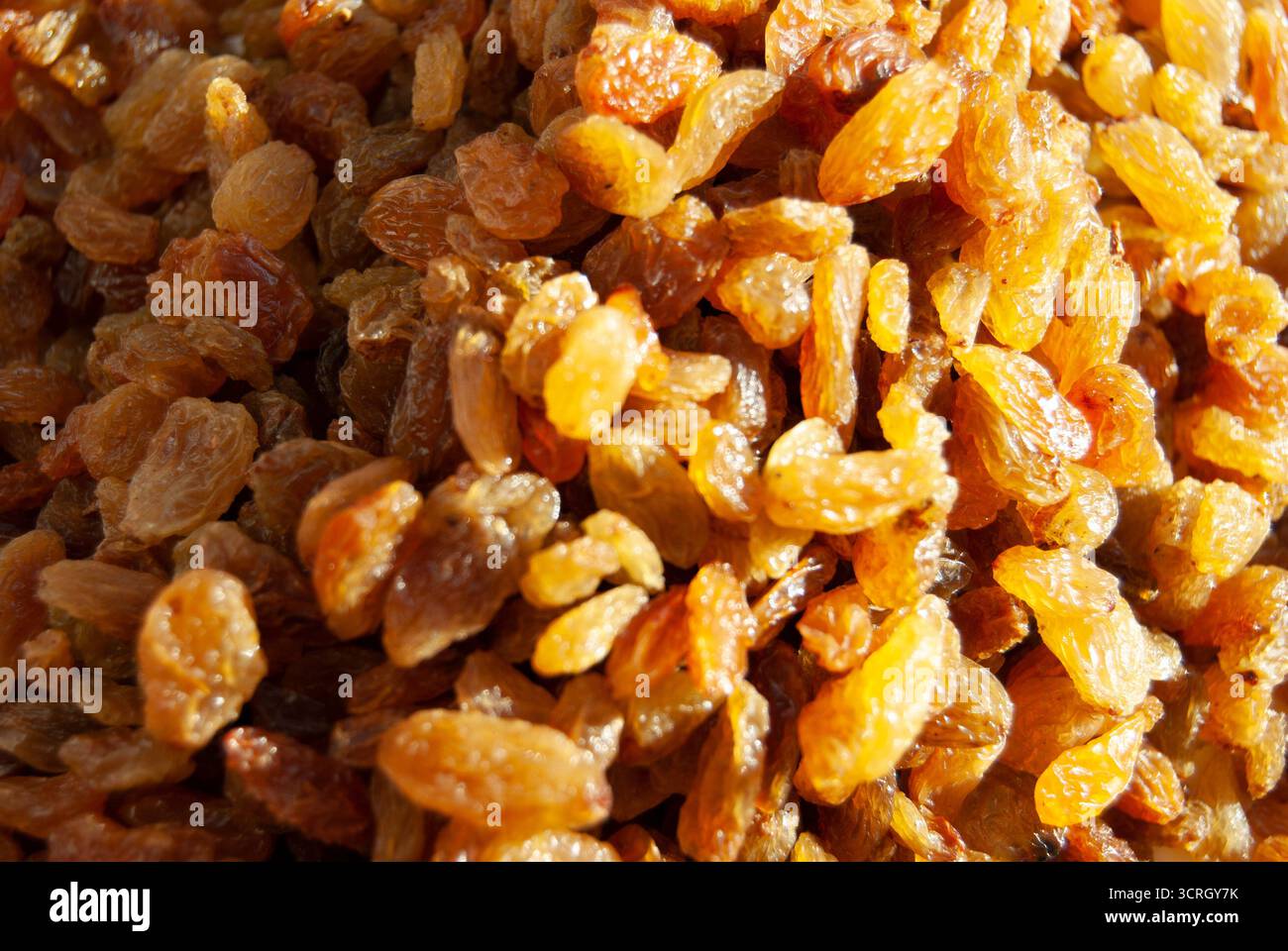A heap of raisins. A pile of yellow raisins. A dried fruit background Stock Photo