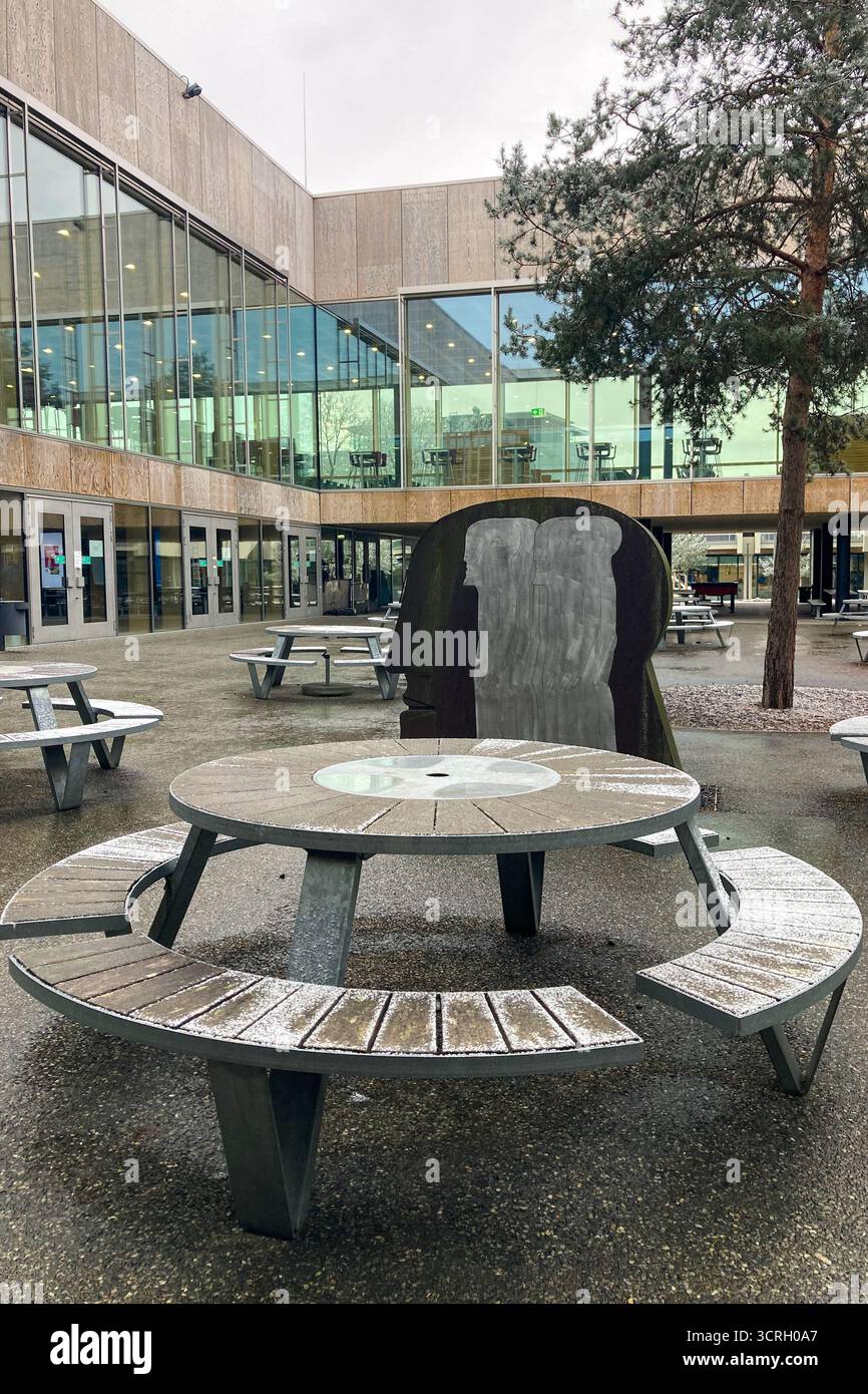 MUNICH, GERMANY - DECEMBER 2, 2024: Frosty morning in campus of Munich Garching Technical University - Smartphone Captured Stock Image