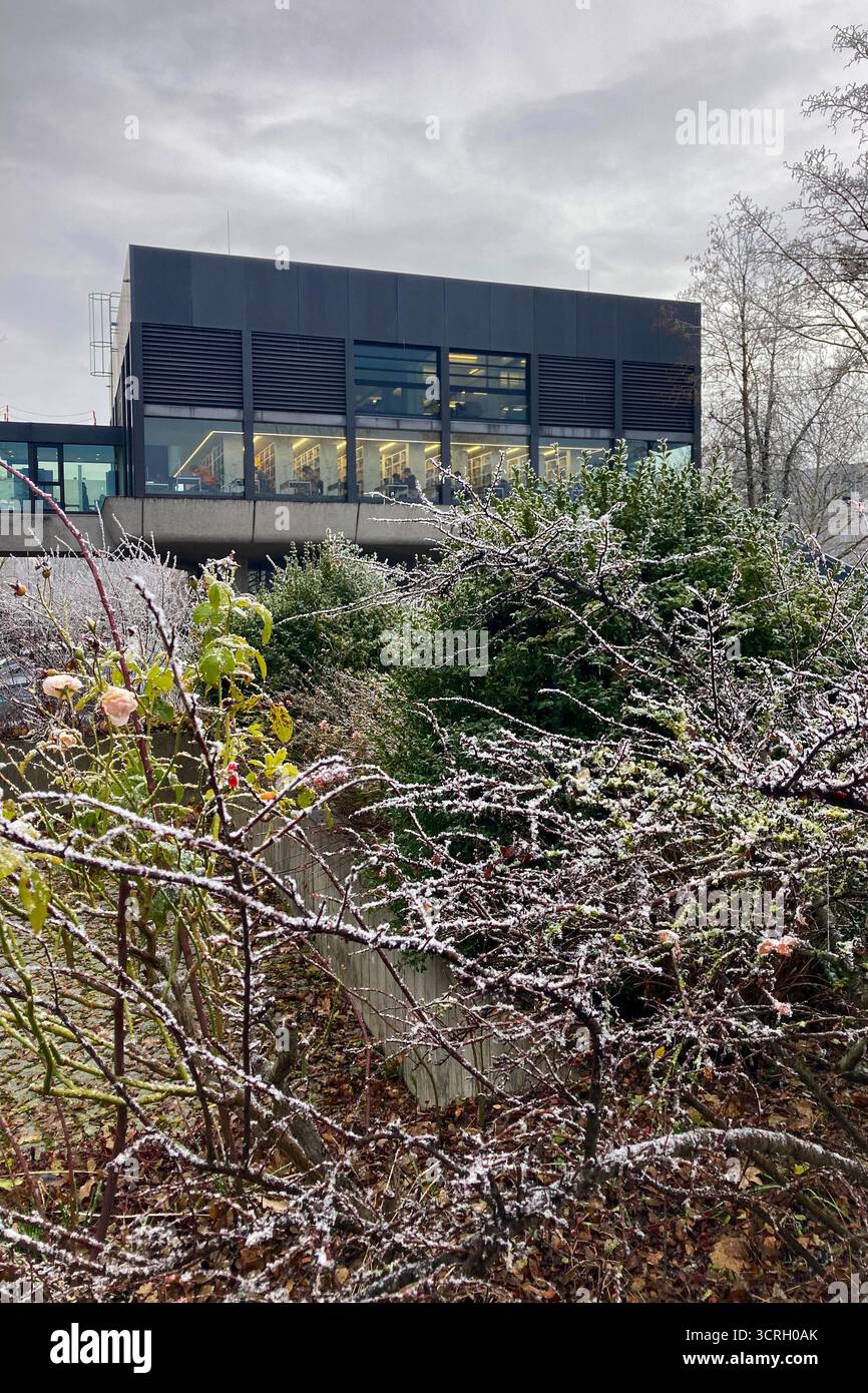 MUNICH, GERMANY - DECEMBER 2, 2024: Frosty morning in campus of Munich Garching Technical University - Smartphone Captured Stock Image