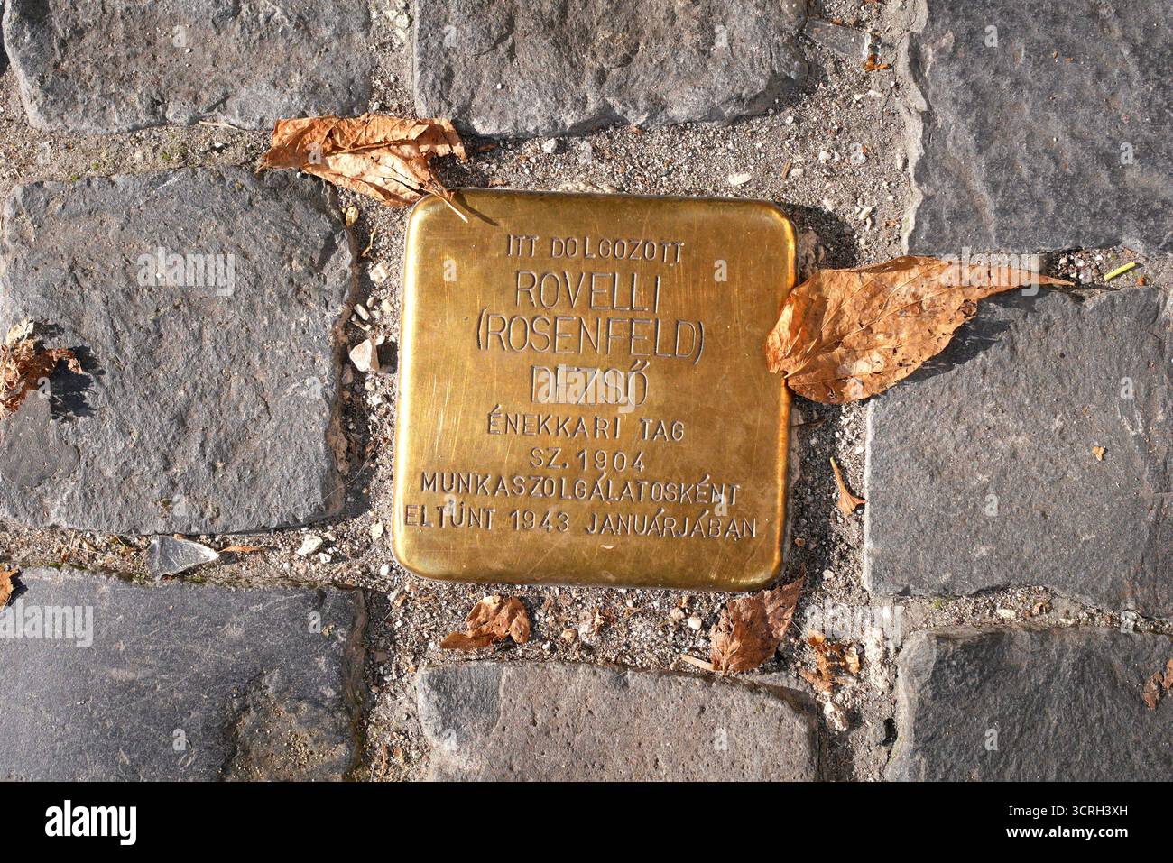 Stolpersteine to Dezső Rovelli, a Jewish chorus member who died in the Holocaust, in front of the opera house, Andrassy ut, Budapest, Hungary Stock Photo