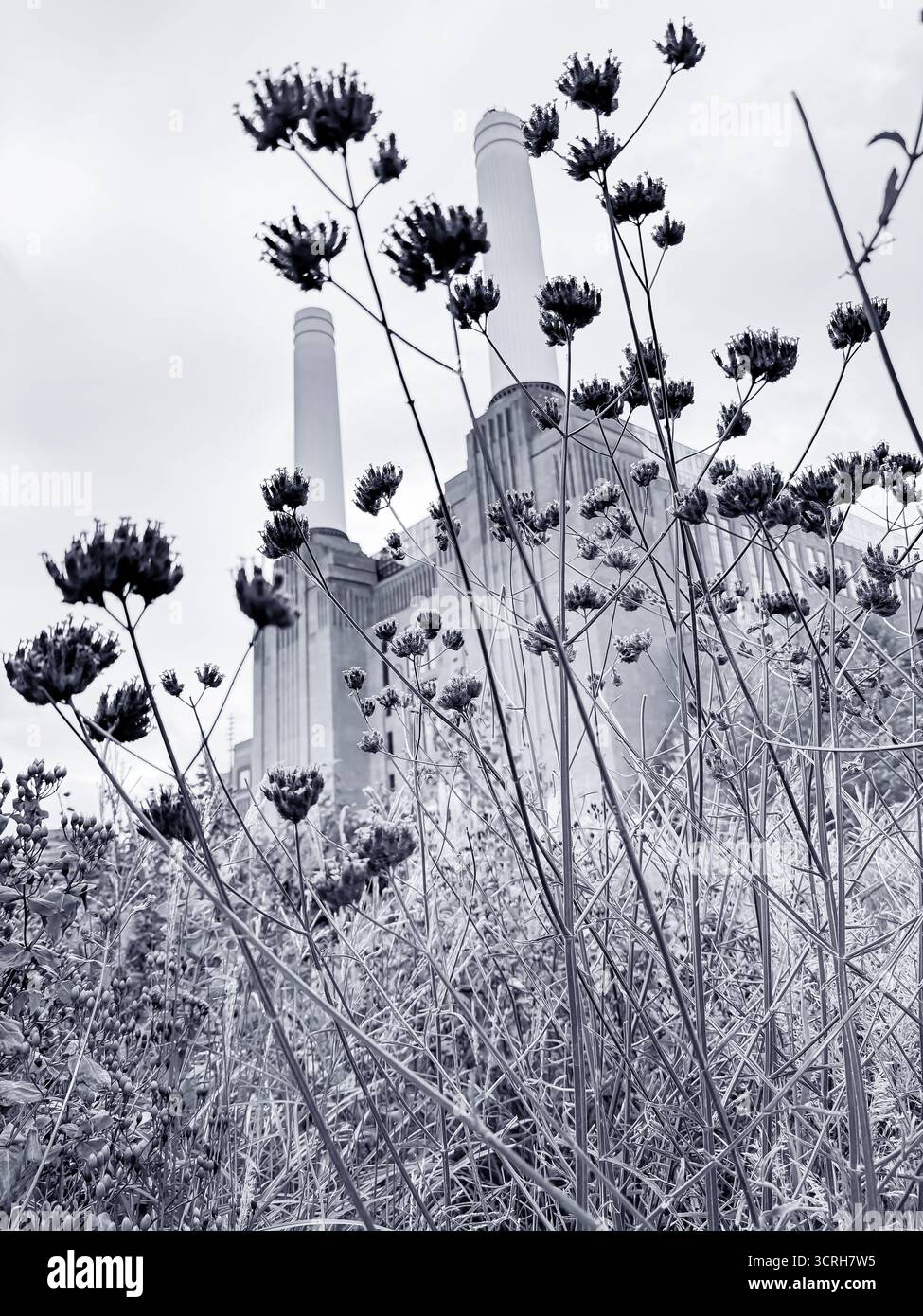 Battersea Power Station, Nine Elms, London - Smartphone Captured Stock Image