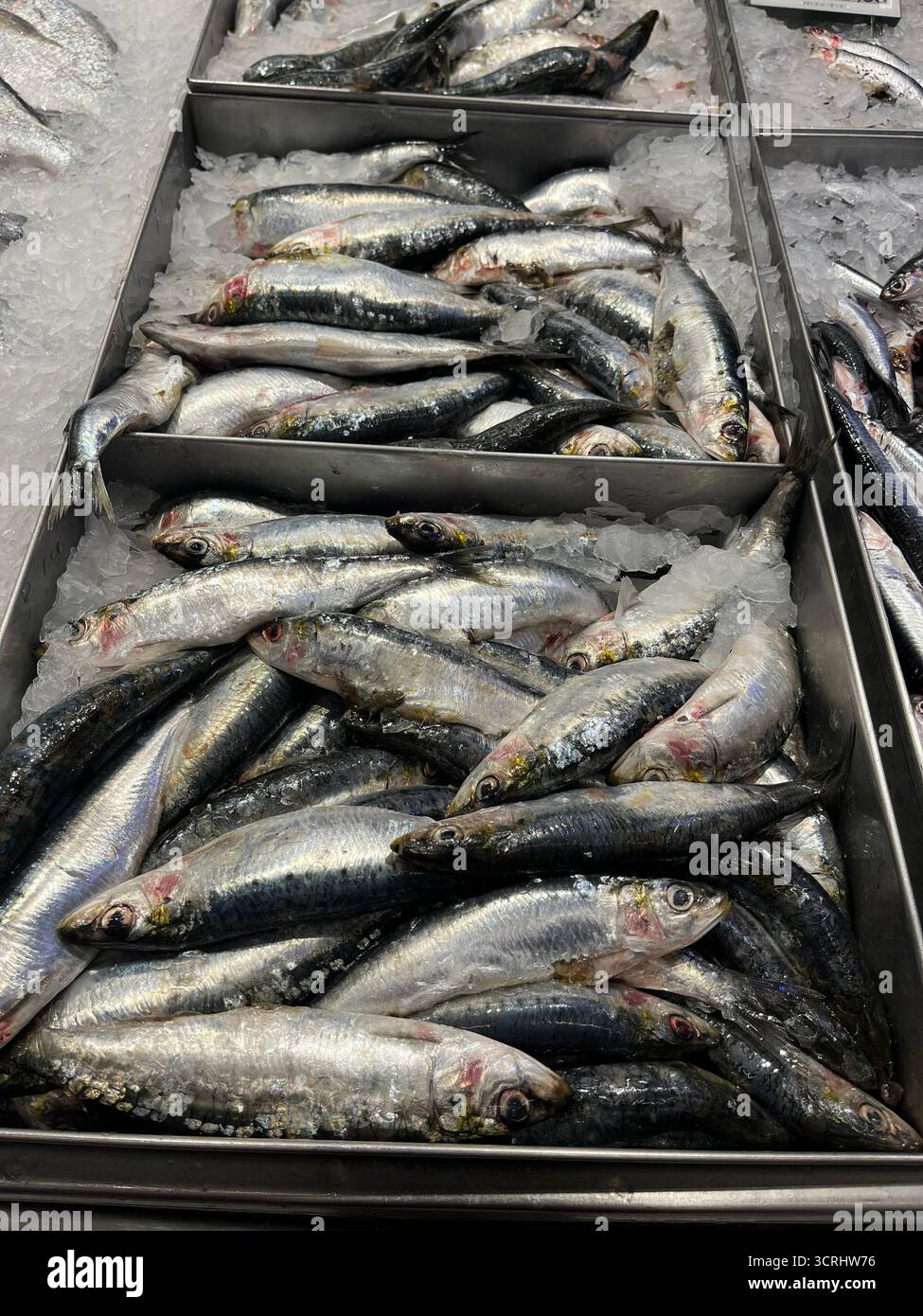 Fresh anchovies on the counter in a Spanish shop - Smartphone Captured Stock Image
