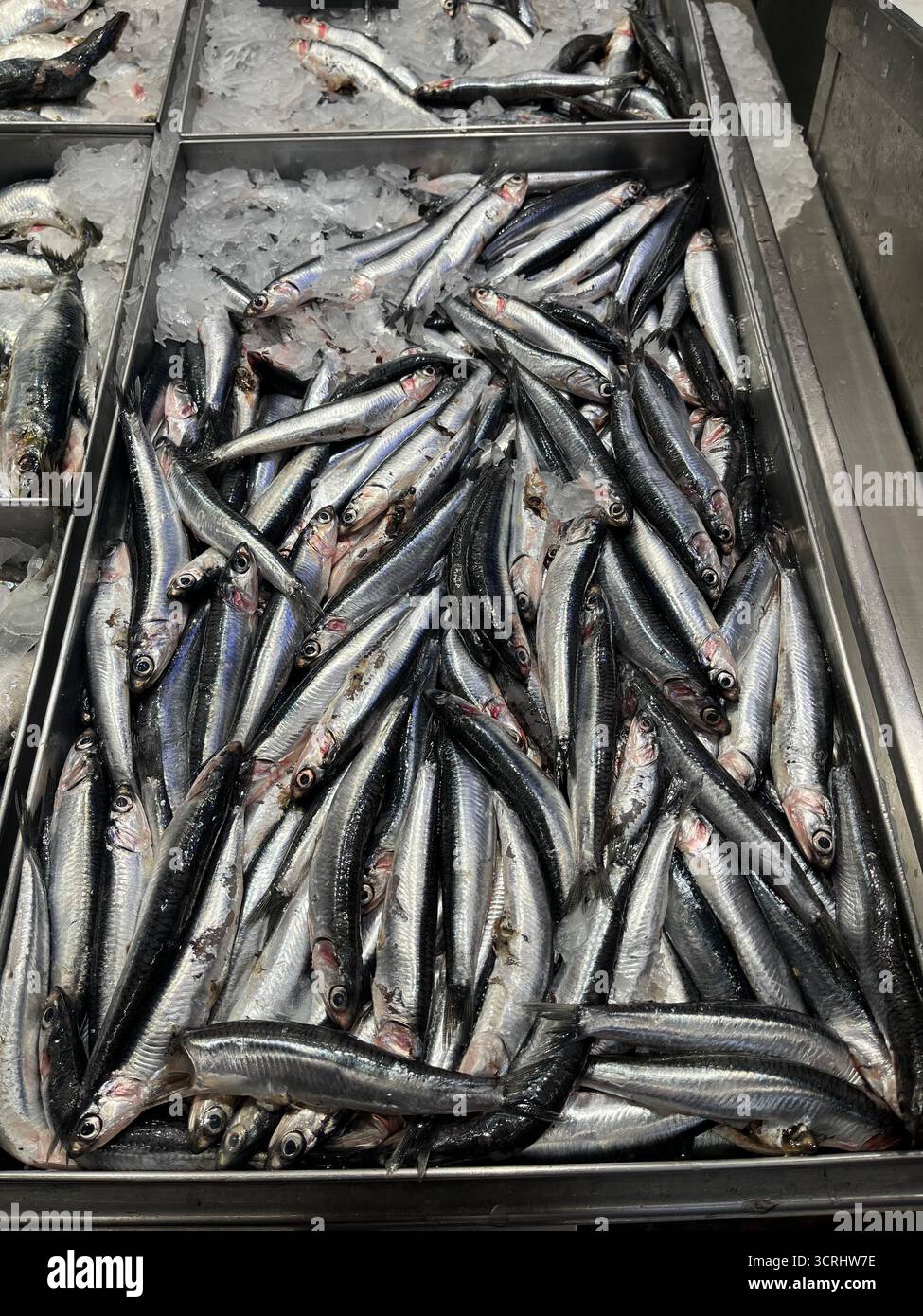 Fresh anchovies on the counter in a Spanish shop - Smartphone Captured Stock Image